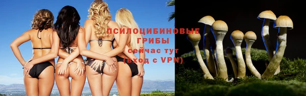 дурь Беломорск