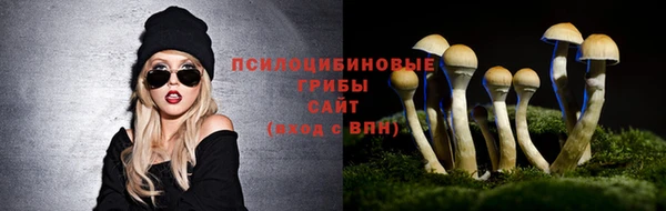 амф Белокуриха