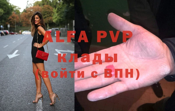 амф Белокуриха