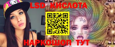 гашик Гатчина