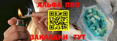 спайс Гай