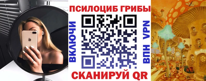сколько стоит  Малоярославец  Псилоцибиновые грибы ЛСД 