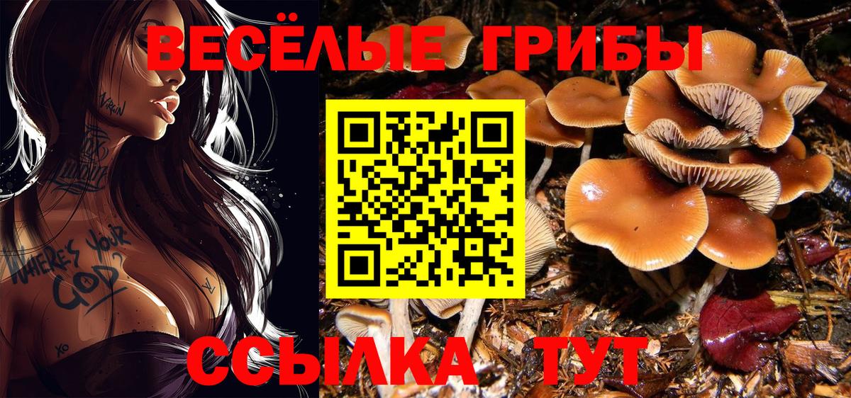 Малоярославец  Псилоцибиновые грибы GOLDEN TEACHER  Вход с VPN  Галлюциногенные грибы Psilocybine cubensis 